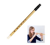 Tin Whistle D, D Tin Whistle, irlandese sei fori chiave di d, per principianti, intermedi ed esperti, band performance (oro)