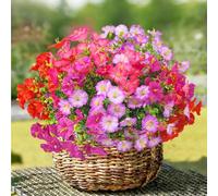 TINA Fiori Artificiali Come Veri, 8 Mazzi Fiori Artificiali per Balcone Piante da Esterno Resistenti alle Intemperie, Bouquet di Fiori Finti Resistente ai Raggi UV Decorazione Primaverile Fiori Finti