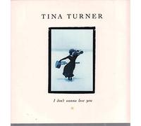 TINA TURNER / I DON'T WANNA LOSE YOU