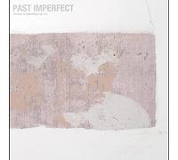 TINDERSTICKS - PAST IMPERFECT, THE BEST OF TINDERSTICKS 92 - 21