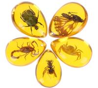 TINEASUR Esemplari di Ambra Insetti Leggeri e Facili da Usare Set 5 Pezzi in Resina Gialla come Bracciali Creativi per Decorare Gioielli Fai da Te