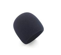 TingHaoO Mini-size Mic Peloso Spugna Copertura Kit Microfono Palmare Per Zoom H1 Recorder Mic Furry & Foam Ricambi Schiuma Filtro Olio Bel Ray