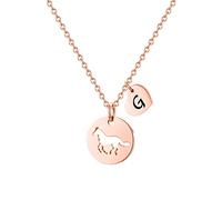 TINGN Collana con ciondolo a forma di cavallo per ragazze e donne, in acciaio inox, con iniziale a forma di cuore, regalo per ragazze amanti dei cavalli, gioielli delicati per ragazze e bambine,