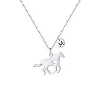 TINGN Regali cavalli per ragazze e donne, in acciaio inox, regalo per ragazze e cavalli con ciondolo a forma di cuore, collana con ciondolo a forma di lettera, gioielli per ragazze e ragazze, 16"+2