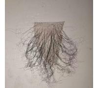 Tingyilan Capelli pubici falsi, triangolo nero in pizzo completo invisibile realistico, capelli del corpo falsi per costume,2,One Size