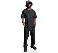 Tinie Tempah (Black Outfit) mini formato