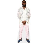 Tinie Tempah (Pink Trousers) mini formato