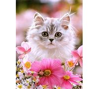 Tinnoon Diamond Painting Kit Completo,Kit per Diamond Dots Painting Strass 5D con Numeri Ricamo Punto Croce DIY, Adulti Immagini Kits per Pittura a Mosaico per la Decor della Casa（Gatto，40x50cm）