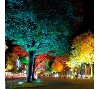 Farotto da esterno a LED tint Flores XL, IP44, CCT, RGB tint