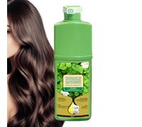 Tinta in Schiuma per Capelli - Shampoo Bubble Mousse da 500 ml, Mousse Naturale per Ca-pelli Colorati con Piante Schiuma a Base Vegetale a Lunga Durata per Uomo e Donna, Salone di Bellezza