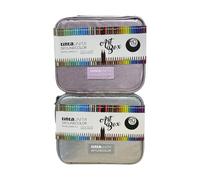 Tinta Unita Astuccio Glitter Skylinecolor Art Box con 110 pastelli - ARGENTO GLITTER