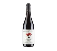Tintilia del Molise DOC Lame del Sorbo 2021 - Vinica 0.75 lt