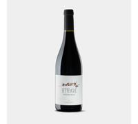 Tintilia del Molise DOP Settevigne Biologico 2018 - Claudio Cipressi
