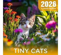 Tiny Cats 2026 Calendar: Adorable miniature felines in cute, small spaces