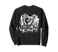 Tiny Kingpin - Chihuahua dai Capelli Lunghi Felpa