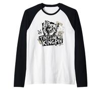 Tiny Kingpin - Chihuahua dai Capelli Lunghi Maglia con Maniche Raglan