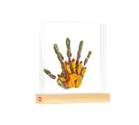 Tiny Love Family Prints, Kit Impronta Mani Famiglia, Cornice Impronte Neonato e Genitori, Cornice Personalizzata, Testato Dermatologicamente, Idea Regalo Neonato, Regalo Nascita, Tiny Creations