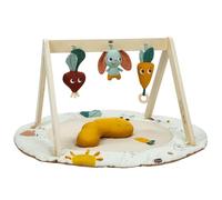 Tiny Love - Palestrina Luxe Gymini: Garden Of Adventures