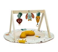 Tiny Love - Palestrina Luxe Gymini: Garden Of Adventures