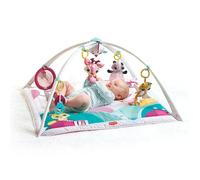 Tiny Love - Palestrina neonato Gymini Deluxe Tiny Princess Tale