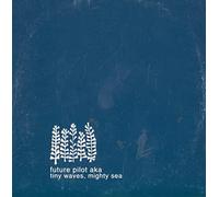 Tiny Waves, Mighty Sea