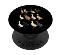 Tipi di anatre domestiche Razze animali uccelli acquatici PopSockets PopGrip Adesivo