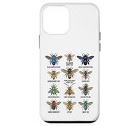 Tipi di api Tabella educativa delle specie di insetti Custodia per iPhone 12 mini