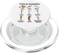 Tipi di cavallucci marini, grafico delle specie di cavalluccio marino, scienze marine PopSockets PopGrip per MagSafe
