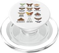 Tipi di falene Grafico scientifico educativo degli insetti PopSockets PopGrip per MagSafe