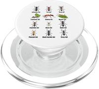 Tipi di formiche, grafico delle specie di formiche, scienza degli insetti, entomologia PopSockets PopGrip per MagSafe