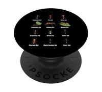 Tipi di formiche, grafico delle specie di formiche, scienza degli insetti, entomologia PopSockets PopGrip Adesivo