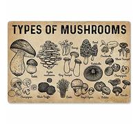 Tipi di funghi, cartelli in metallo, poster retrò sulla conoscenza dei funghi, decorazioni da parete per la casa, la cucina, il club, 8x12 pollici