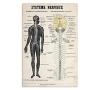 Tipi di funghi commestibili, targhe in metallo, poster retrò, guida alla cucina, fattoria, decorazioni da parete, decorazioni da collezione, 8x12 pollici