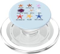 Tipi di grafico delle stelle marine per gli amanti della vita marina dell'oceano della PopSockets PopGrip per MagSafe