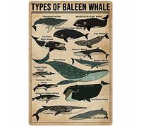 Tipi di insegne in metallo con balene, poster retrò con informazioni sulle balene, guida di riferimento per balene, targhe per bambini, decorazioni da parete per casa, aule, aule scolastiche, 12x16