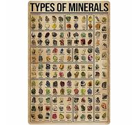 Tipi di minerali Poster Conoscenza scientifica popolare Decorazione da parete Targhe in metallo Educazione sui minerali Decorazioni per la casa Decorazioni per la camera Targa con stampa vintage 8x12