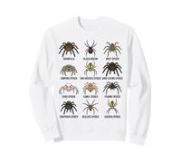 Tipi di Ragni Grafico delle Specie educative Ragazzi Ragazze Bambini Felpa