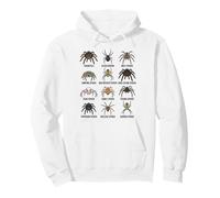 Tipi di Ragni Grafico delle Specie educative Ragazzi Ragazze Bambini Felpa con Cappuccio