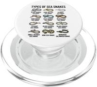 Tipi di serpenti marini Mare Snake Specie Chart Marine Rettili PopSockets PopGrip per MagSafe