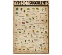 Tipi di succulente, insegne in metallo con informazioni sulle succulente, poster retrò, scienza popolare, grafici educativi, targhe da parete, decorazioni per casa, aula, ufficio, 12x18 pollici