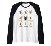 Tipi di Tarantole Specie Ragno Amanti Aracnidi Maglia con Maniche Raglan