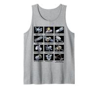 Tipi di telescopi Spaziali Astronomia ed esplorazione Spaziale Canotta