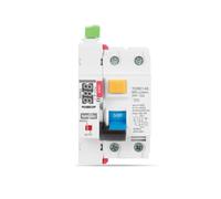 Tipo A RCD LED Auto Recloser Interruttore automatico modulare 40A 63A 30mA 100mA 300mA Interruttore di sicurezza Interruttore di dispersione 220V(25A)