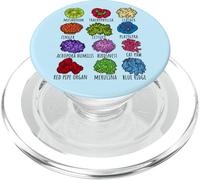 Tipo di barriera corallina Varietà Vita marina Amante della biologia oceanica PopSockets PopGrip per MagSafe