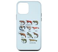 Tipo Di Gamberetti Specie Di Gamberi Per Gli Amanti Del Pesce E Chef Custodia per iPhone 12 mini