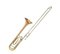 Tipo Di Prestazione Trombone Trombone In Si Bemolle In Fa Banda Musicale Esibizione Professionale