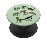 Tipo di specie di lucertola verde Collezione geco iguana PopSockets PopGrip Adesivo