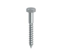 TIRAFONDO P/LEGNO TE 10X300MM ZINCATO UNI704 50 PZ