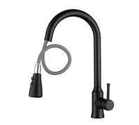 Tirare fuori il mixer da cucina con doppio beccuccio spray caldo e freddo, manico singolo a singolo foro ad arco alto moderno, rubinetto per lavello con spruzzatura a nichel 2 spruzzata (5) LWX