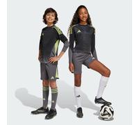 Tiro 25 Pro Goalkeeper Shorts Kids Grey Five 11-12A